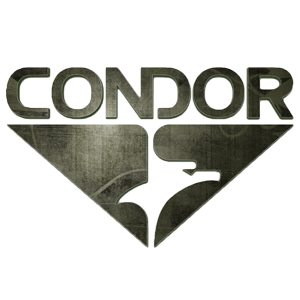 condor5